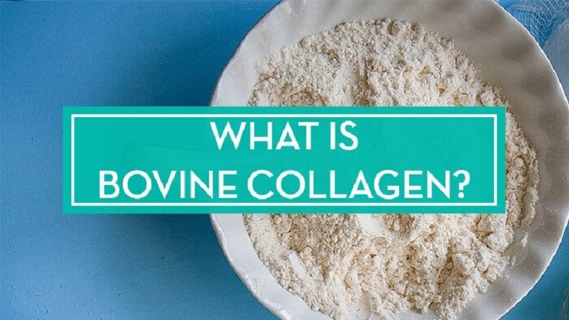 Just How Much Bovine collagen In The Event You Take each day?