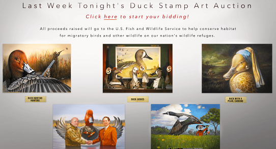 Bestduckingstamps com