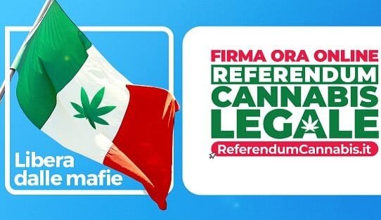 Referendumcannabis