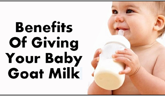 Benefits of Goat Milk