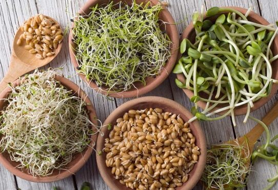 Health Benefits of Sprouts