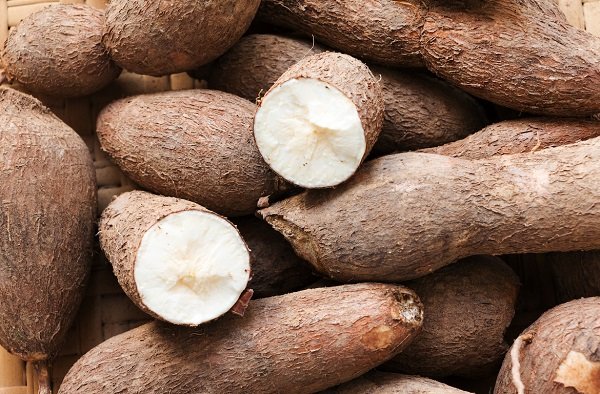 Cassava Uses