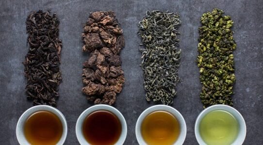 10 Tea Types