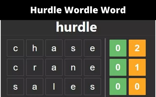 Hurdle Wordle Word