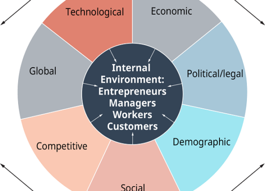 Components of Political Environment