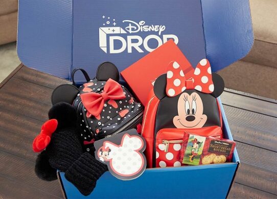 Disney Drop Box