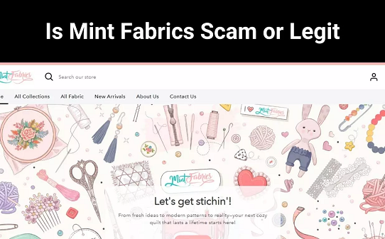 Mint Fabrics Review