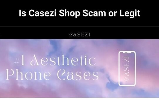 Casezi Shop Review