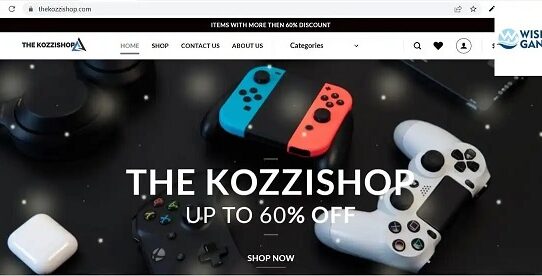 Thekozzishop com Review