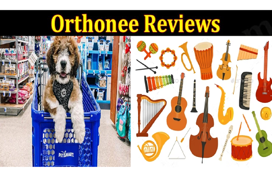 Orthonee.com Website Review