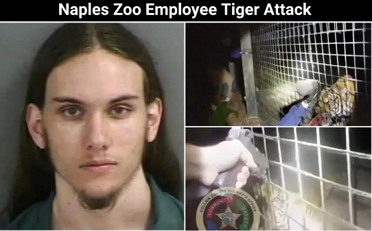 Naples Zoo EmployeeTiger Attack