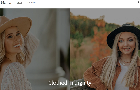 Shopdignity3125 com Review